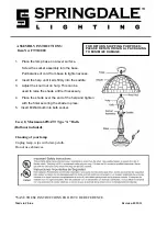 Предварительный просмотр 1 страницы Springdale Lighting FTT10020 Assembly Instructions