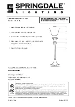 Springdale Lighting STA11146 Assembly Instructions preview