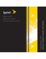 Sprint Play Multiplayer Games Manual preview