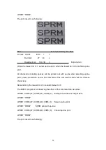 Предварительный просмотр 30 страницы SPRT SP-RMD11A User Manual