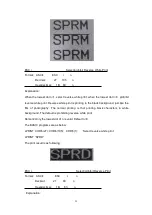 Предварительный просмотр 31 страницы SPRT SP-RMD11A User Manual