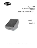 Squier SQ12M Service Manual preview