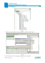 Предварительный просмотр 60 страницы SST Automation GT200-DP-CO User Manual