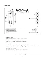 Предварительный просмотр 10 страницы SST Ampzilla 2000 II User Manual