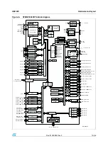 Предварительный просмотр 13 страницы ST STM32F3DISCOVERY User Manual