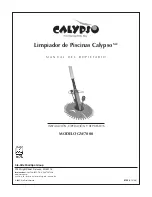 Предварительный просмотр 31 страницы STA-RITE Calypso GW7000 Owner'S Manual