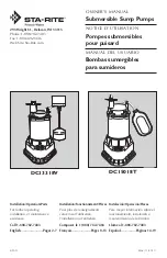 Preview for 1 page of STA-RITE DC13318V Owner'S Manual