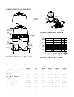 Предварительный просмотр 28 страницы STA-RITE PLM100 Owner'S Manual