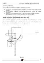 Предварительный просмотр 39 страницы Stagnoli ALPHEO 230V Instructions Manual