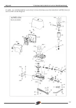 Предварительный просмотр 46 страницы Stagnoli ALPHEO 230V Instructions Manual