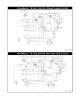 Предварительный просмотр 17 страницы Standex TRI-STAR CO11-E Installation And Operating Instructions Manual