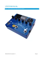 Stanley Effects blue nebula User Manual preview