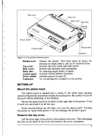 Preview for 11 page of Star Micronics LC24-10 User Manual