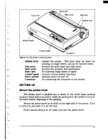 Предварительный просмотр 13 страницы Star Micronics MULTI-FONT NX-1000II User Manual