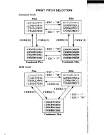 Предварительный просмотр 121 страницы Star Micronics MULTI-FONT NX-1000II User Manual