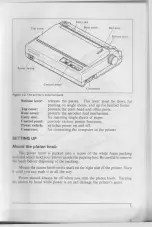 Preview for 13 page of Star Micronics NX-1000 User Manual