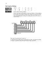 Предварительный просмотр 43 страницы Star Micronics SLIP SP298 SERIES Programmer'S Manual