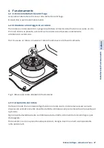 Предварительный просмотр 47 страницы StarLab Minicentrifuge User Manual