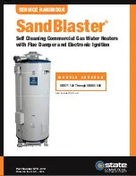 Preview for 1 page of State Water Heaters SandBlaster SBD71 120 Service Handbook