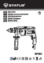 Status DP1051 Original Instructions Manual preview