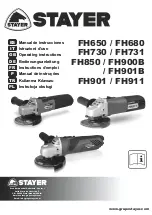 stayer FH650 Operating Instructions Manual preview