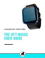 Steadfast SFT-MAGIC User Manual preview