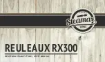 STEAMAX REULEAUX RX300 User Manual предпросмотр