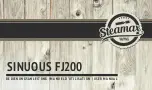 STEAMAX SINUOUS FJ200 User Manual preview