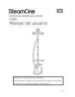 Preview for 41 page of STEAMONE T22S User Manual