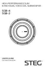 Steg SQ8-4 User Manual предпросмотр