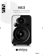 Steljes Audio NS3 User Manual preview