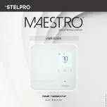 Stelpro MAESTRO ASMT402AD User Manual предпросмотр