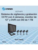 Steren CCTV-971 Quick Manual preview