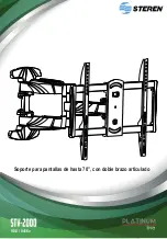 Steren Platinum STV-2000 Manual preview