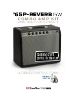 StewMac 65 P-REVERB Assembly Instructions Manual предпросмотр