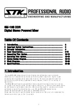 Preview for 2 page of STK Professional Audio SM-16S DDR PowerPlus Owner'S Manual