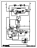 Preview for 35 page of Stoelting Ross CC303-209A00SIR Operating Manual