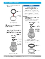 Предварительный просмотр 12 страницы StoneAge Warthog WT series User Manual