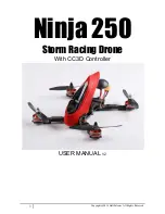 Preview for 1 page of Storm Ninja 250 User Manual