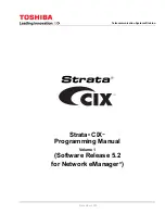 Strata CIX 200 Programming Manual предпросмотр