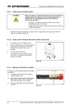 Preview for 271 page of Strautmann Giga-Vitesse CFS 3602 Operating Instructions Manual