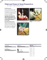 Preview for 3 page of Stryker Scorpio TS Manual