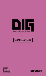 Strymon DIG User Manual предпросмотр