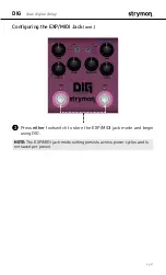 Preview for 21 page of Strymon DIG User Manual