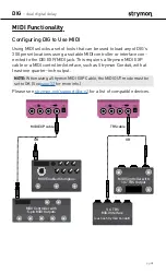 Preview for 28 page of Strymon DIG User Manual