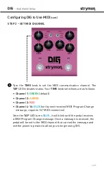 Preview for 30 page of Strymon DIG User Manual