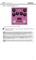 Preview for 31 page of Strymon DIG User Manual