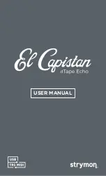 Strymon El Capistan User Manual preview