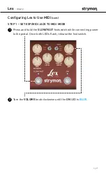 Предварительный просмотр 23 страницы Strymon Lex-rotary User Manual