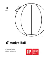 Предварительный просмотр 1 страницы STRYVE Active Ball Product Information